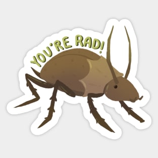 Funky Radroach Sticker